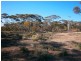 Lot 10 Nikalapko Boundary Road, Taylorville SA 5330