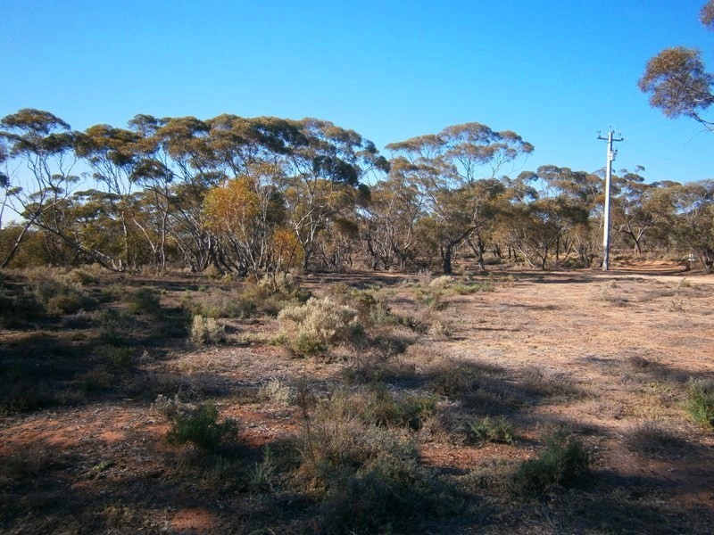 Lot 10 Nikalapko Boundary Road, Taylorville SA 5330
