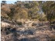 Lot 10 Nikalapko Boundary Road, Taylorville SA 5330