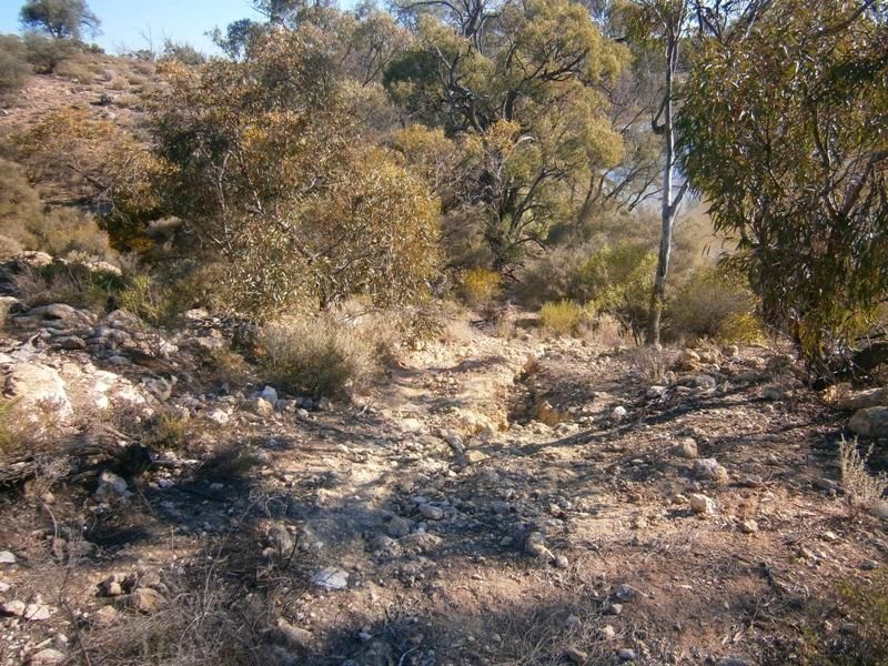 Lot 10 Nikalapko Boundary Road, Taylorville SA 5330