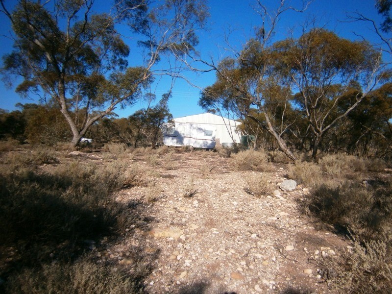 Lot 10 Nikalapko Boundary Road, Taylorville SA 5330