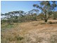 Lot 10 Nikalapko Boundary Road, Taylorville SA 5330