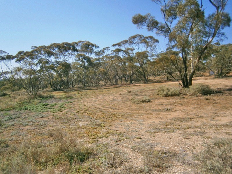Lot 10 Nikalapko Boundary Road, Taylorville SA 5330