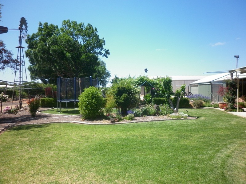 200 Warrego Street, Renmark SA 5341
