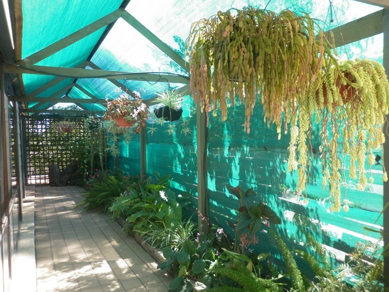 42 Tenth Street, Renmark SA 5341