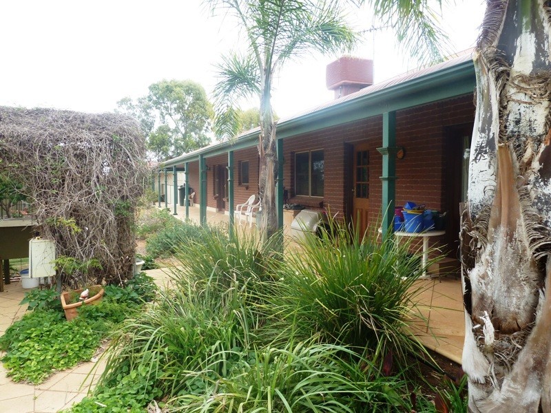 396 Anderson Road, Loxton SA 5333