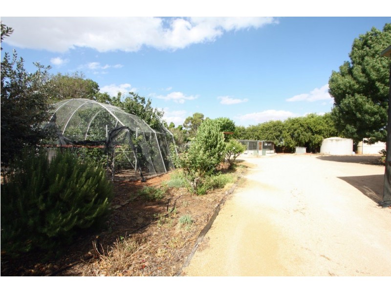 17 COLIN STREET, Loxton SA 5333