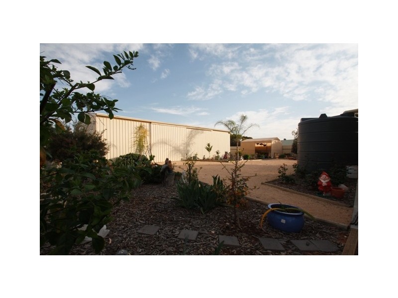 8A Tanko Street, Loxton SA 5333