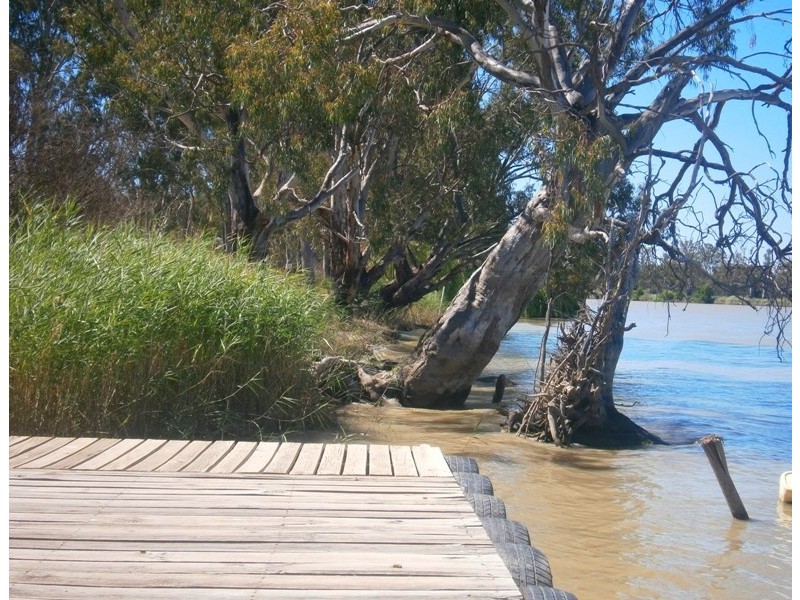 163 Pelican Point Road, Morgan SA 5320