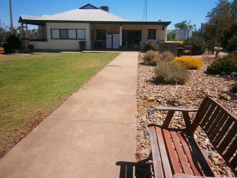 163 Pelican Point Road, Morgan SA 5320
