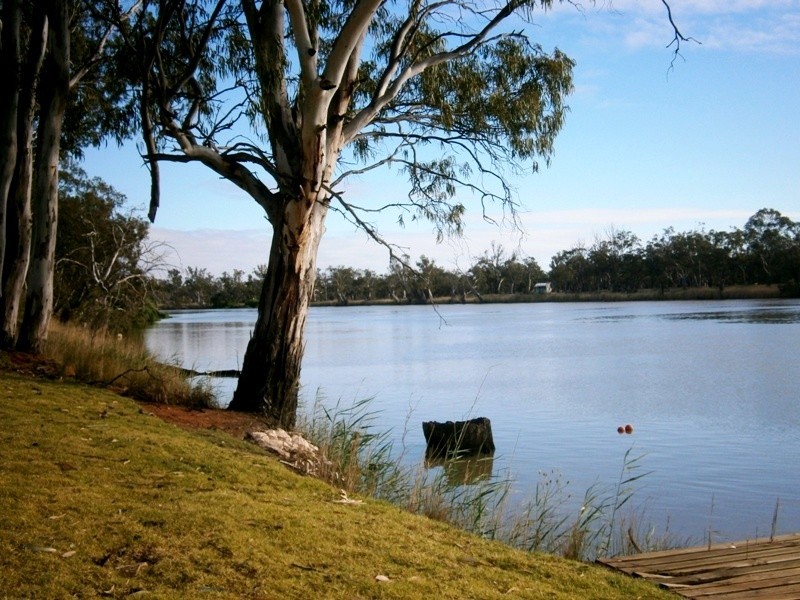 163 Pelican Point Road, Morgan SA 5320