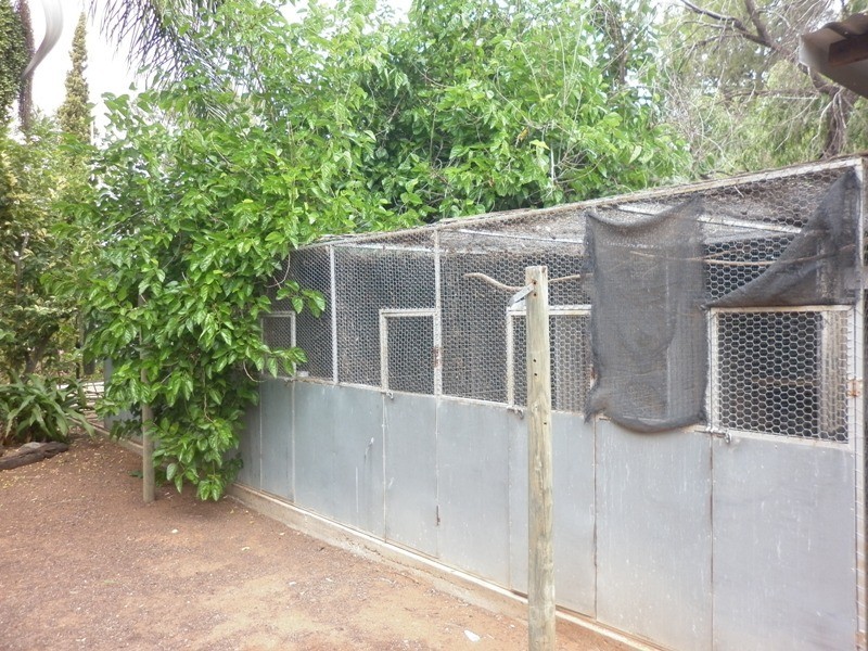 7 Paroo Street, Renmark SA 5341