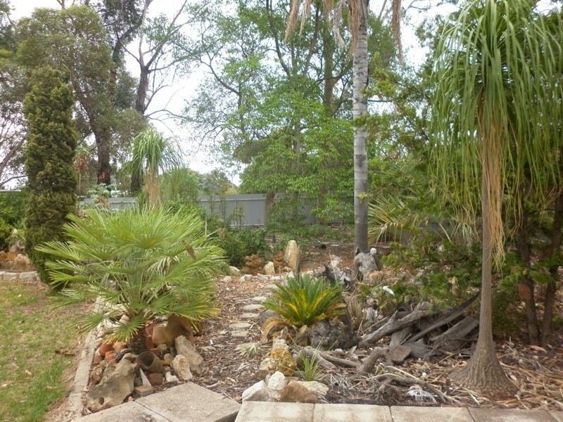 7 Paroo Street, Renmark SA 5341