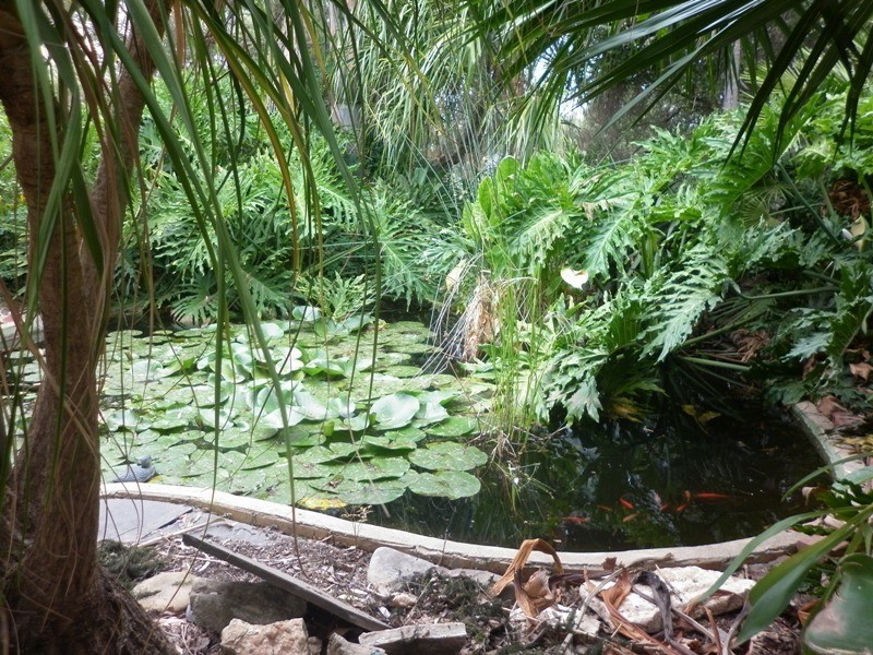 7 Paroo Street, Renmark SA 5341