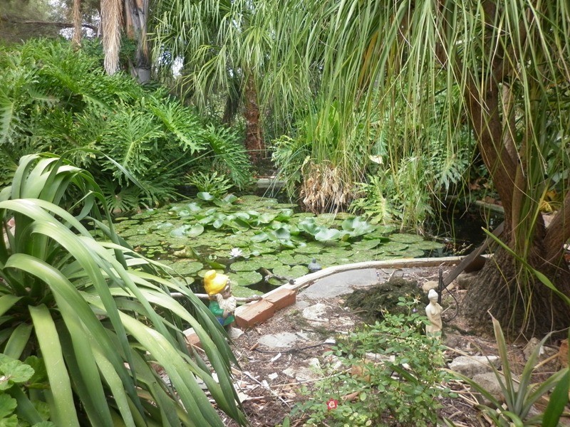 7 Paroo Street, Renmark SA 5341