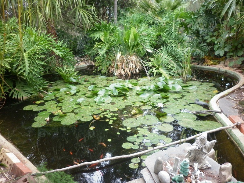 7 Paroo Street, Renmark SA 5341