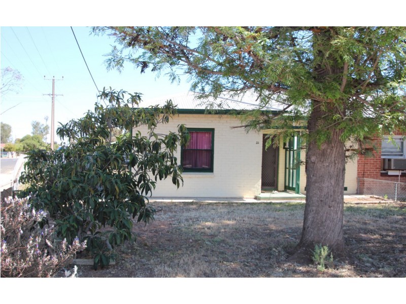 20 Hopkins Street, Renmark SA 5341