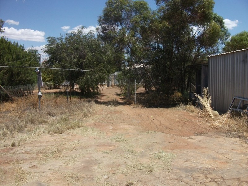 14 Muscat Avenue, Berri SA 5343