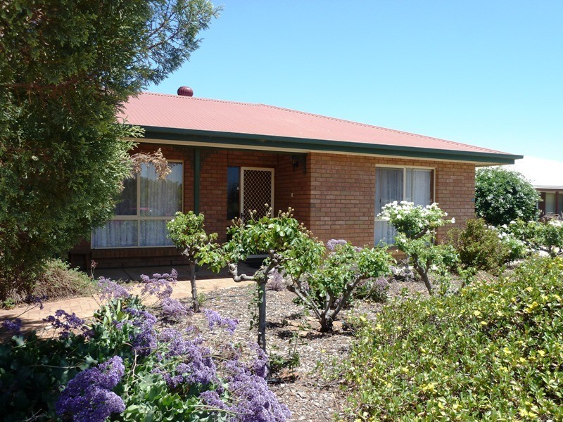 20 Hall Crescent, Loxton SA 5333