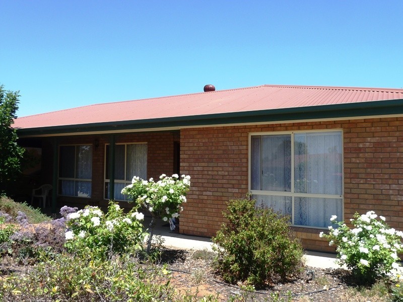 20 Hall Crescent, Loxton SA 5333