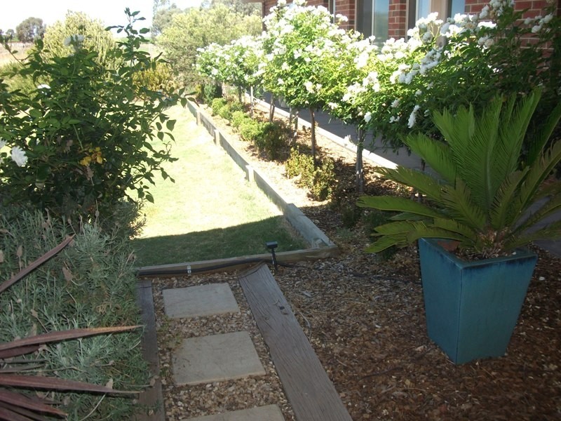 482 Thiele Road, Barmera SA 5345