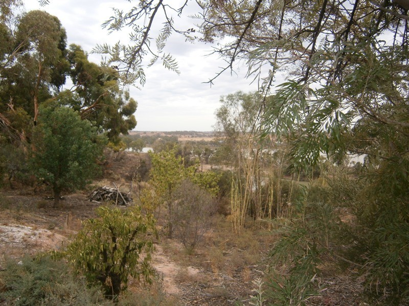 4 Cliff Street, Waikerie SA 5330