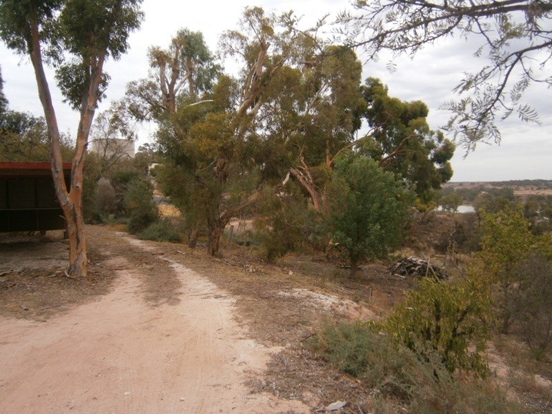 4 Cliff Street, Waikerie SA 5330