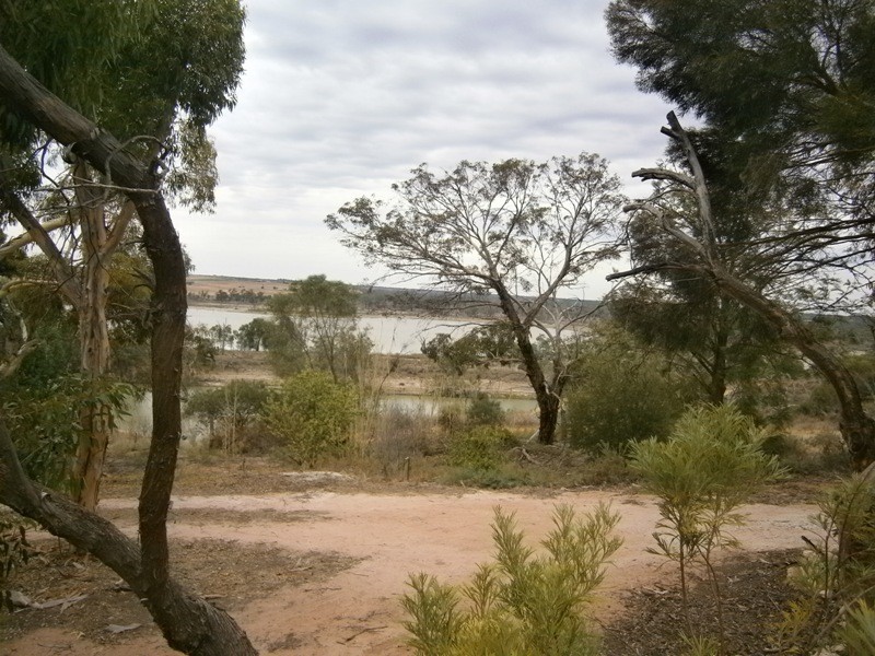 4 Cliff Street, Waikerie SA 5330