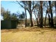198 Scott’s Creek Shack road, Morgan SA 5320