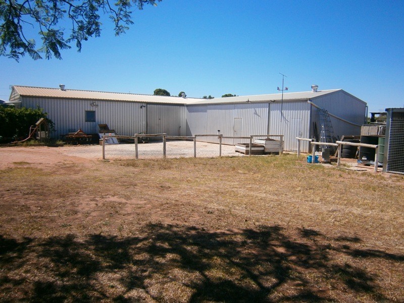 46 Old Blanchetown Road, Waikerie SA 5330