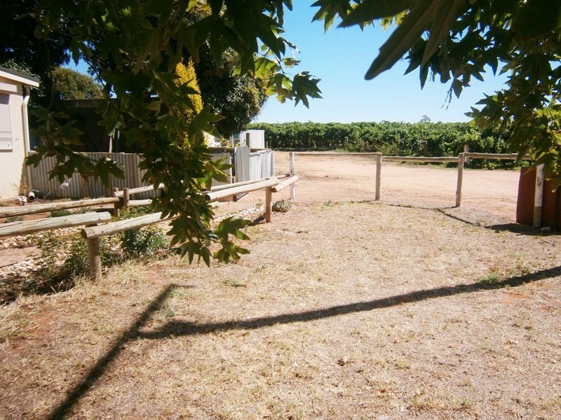 46 Old Blanchetown Road, Waikerie SA 5330