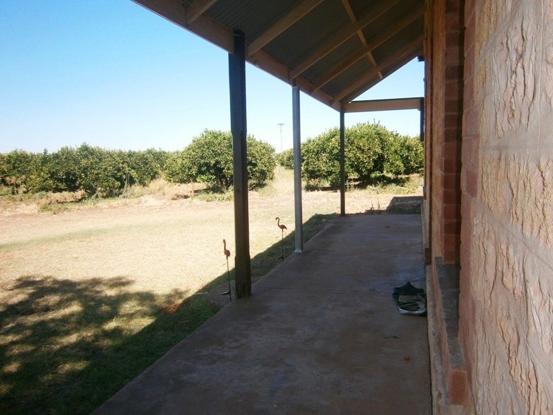 46 Old Blanchetown Road, Waikerie SA 5330