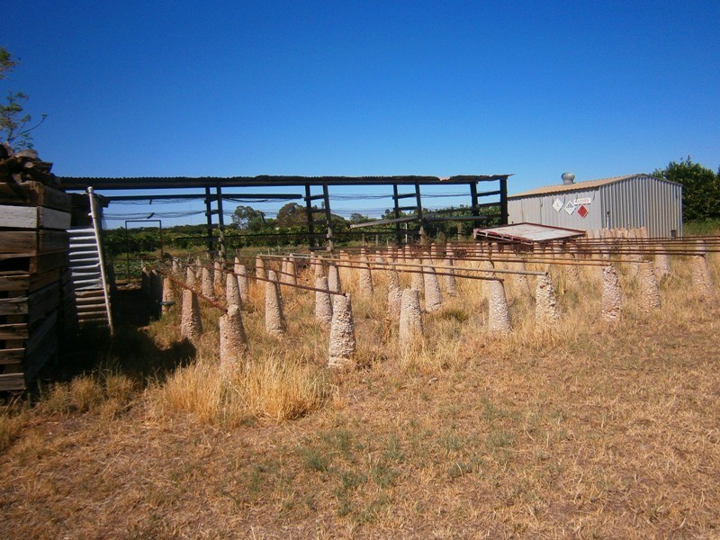 46 Old Blanchetown Road, Waikerie SA 5330