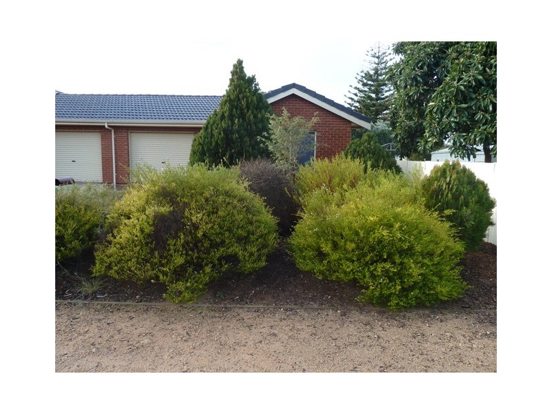 2/29 Muscat Avenue, Berri SA 5343