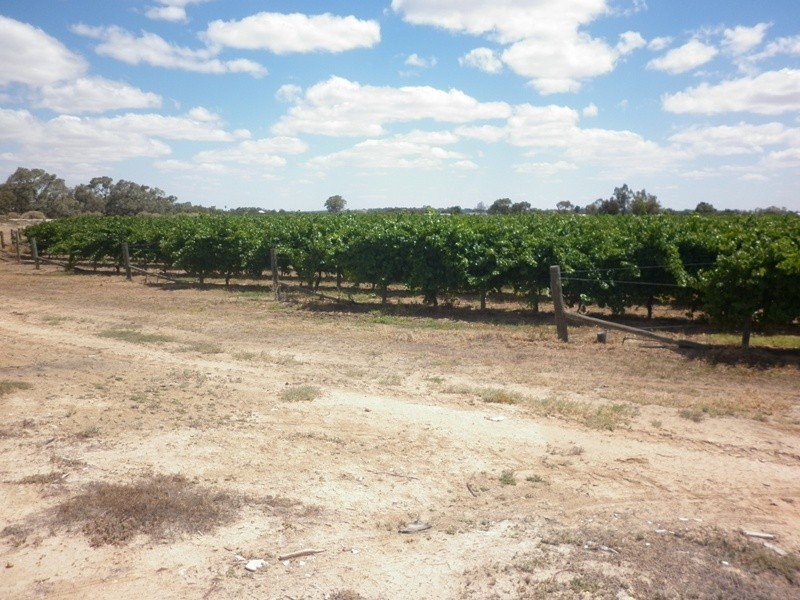 Lot 11 Darling Street, Renmark SA 5341