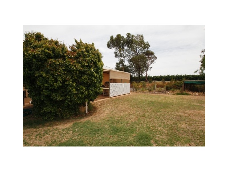 86 KIBBY ROAD, Loxton SA 5333
