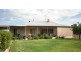 61 Crescent Street, Renmark SA 5341