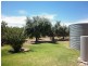 61 Crescent Street, Renmark SA 5341