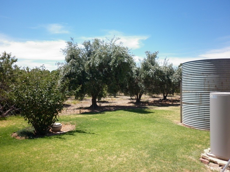 61 Crescent Street, Renmark SA 5341