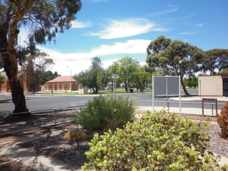 131 Ral Ral Avenue, Renmark SA 5341