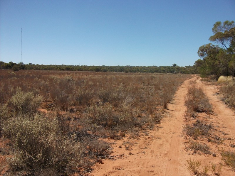 Sect. 576 Brown Road, Monash SA 5342