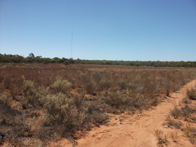 Sect. 576 Brown Road, Monash SA 5342