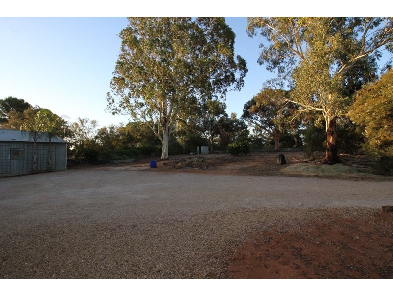 48 Bassham Road, Barmera SA 5345