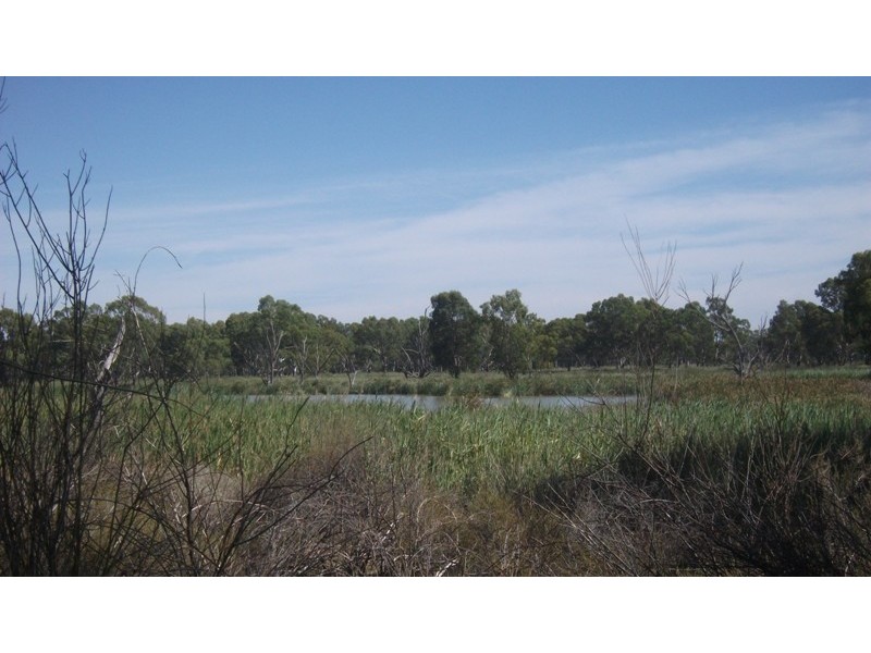 570 Holmes Road, Kingston On Murray SA 5331