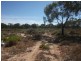 570 Holmes Road, Kingston On Murray SA 5331