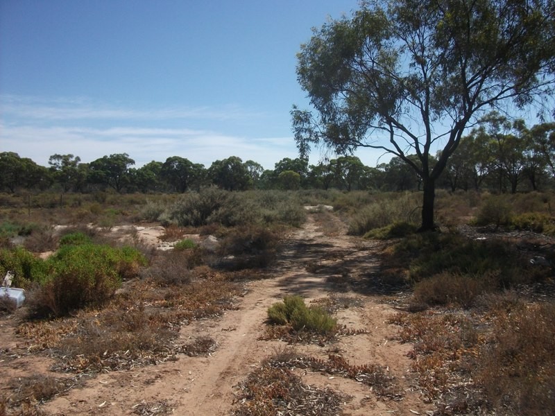 570 Holmes Road, Kingston On Murray SA 5331