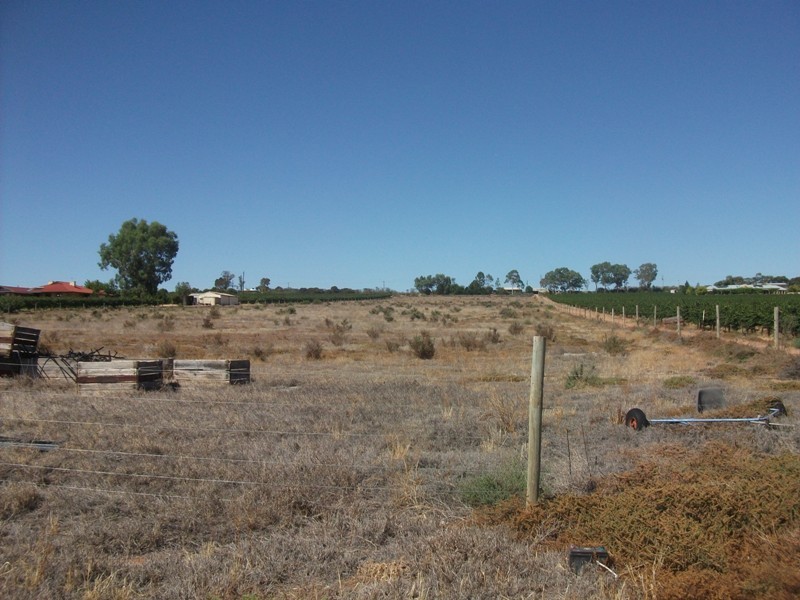 570 Holmes Road, Kingston On Murray SA 5331