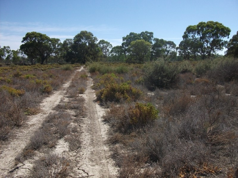 570 Holmes Road, Kingston On Murray SA 5331