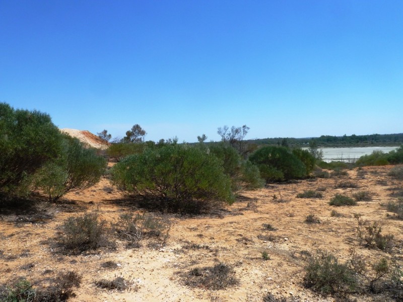 Lot 33 Wheatley Road, Loxton SA 5333