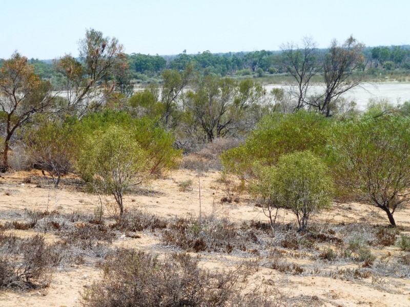 Lot 33 Wheatley Road, Loxton SA 5333